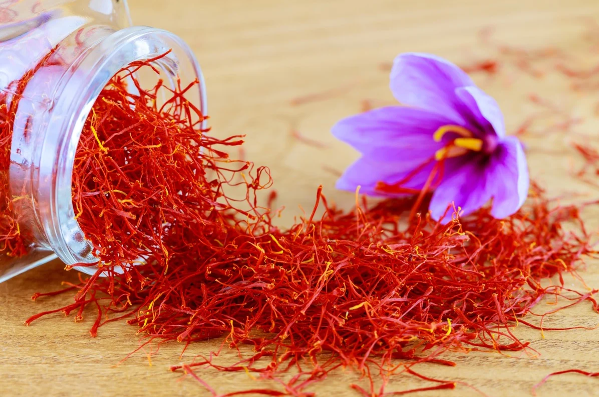 Saffron Gummies – Natural Stress Relief and Mood Support